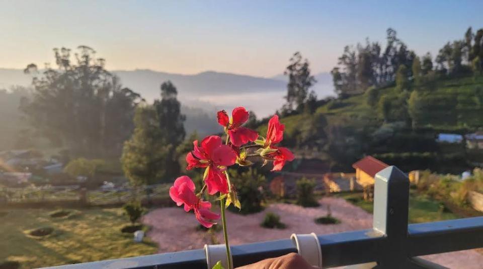 Orchard Valley View Ooty Bagian luar foto